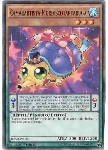 Camarartista Mordiscotartaruga