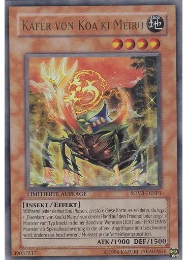 Käfer von Koa'ki Meiru