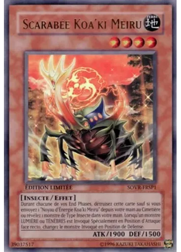 Scarabée Koa'ki Meiru