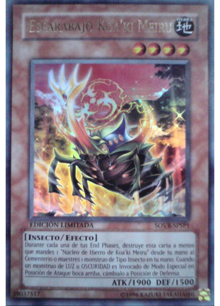Escarabajo Koa'ki Meiru