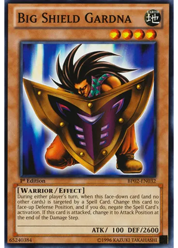Big Shield Gardna