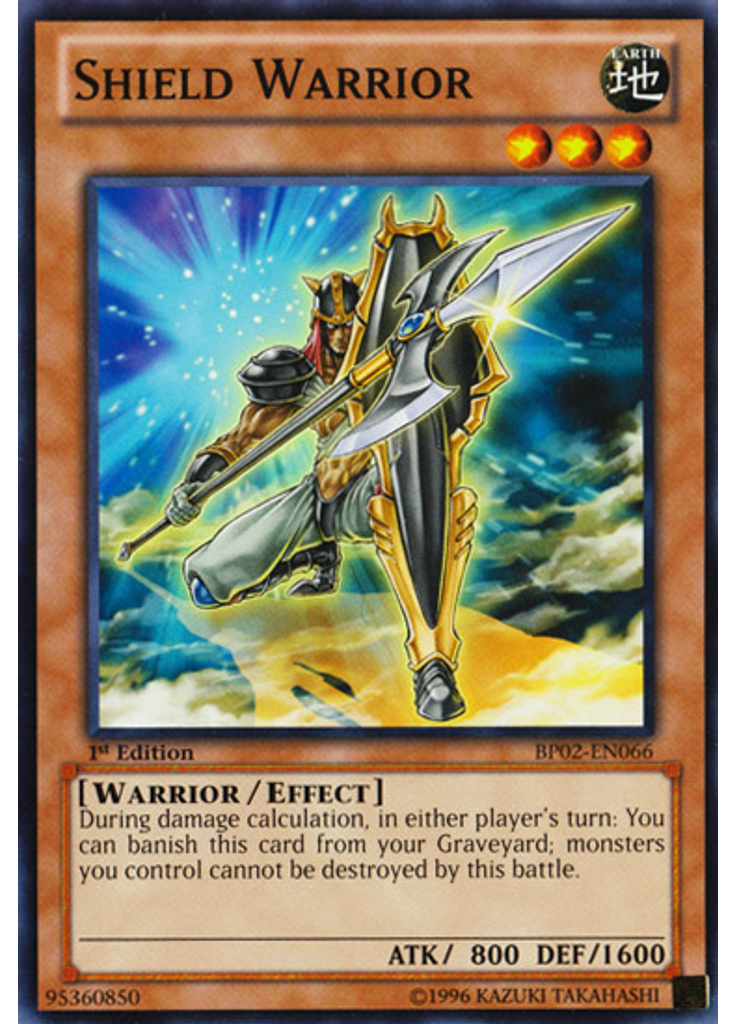 Shield Warrior