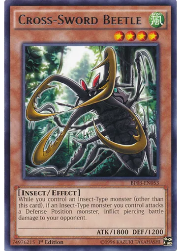 Cross-Sword Beetle