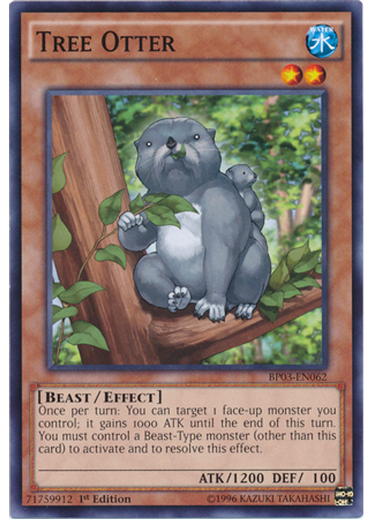 Tree Otter
