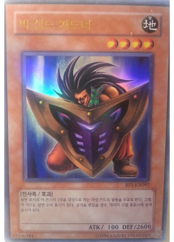 빅 실드 가드너