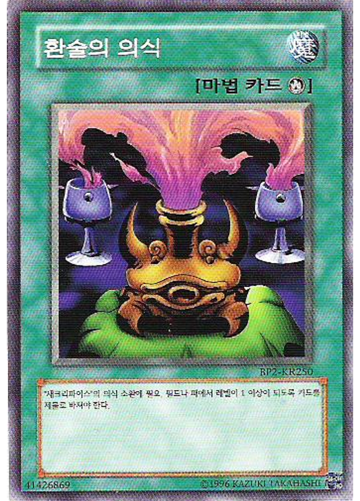 환술의 의식