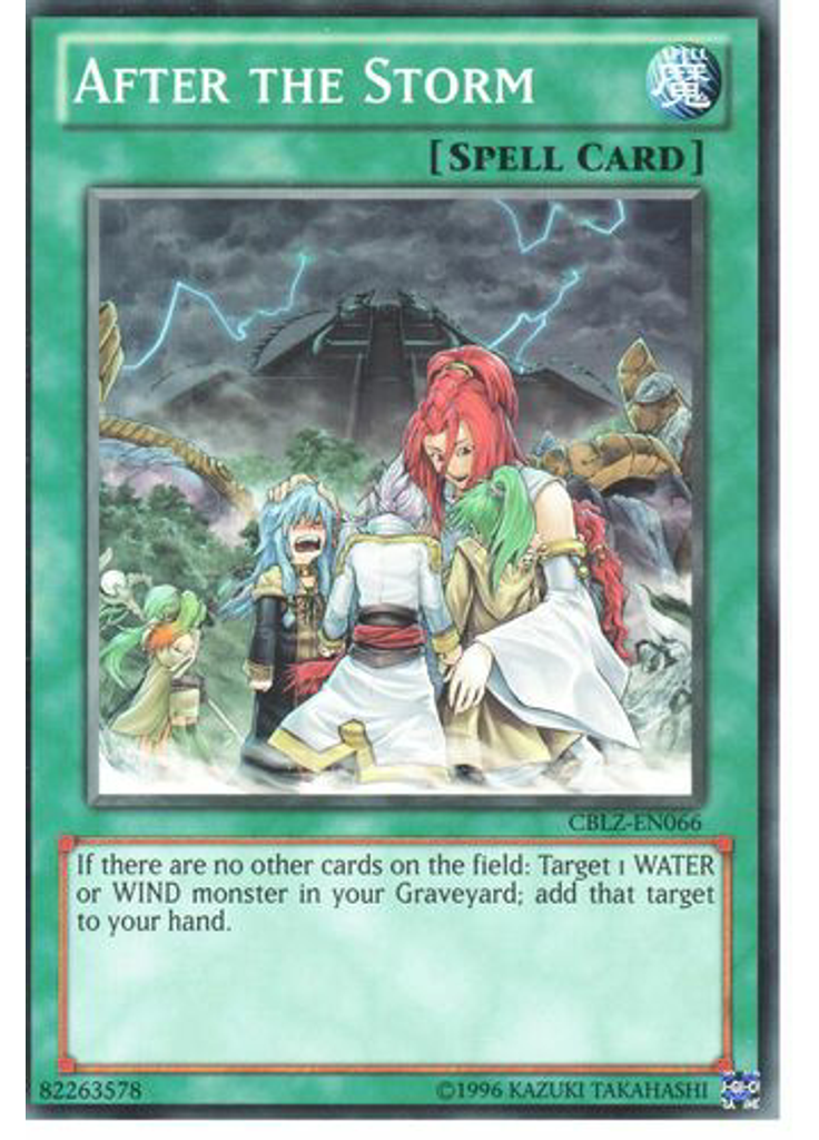After the Storm (Common Unlimited)