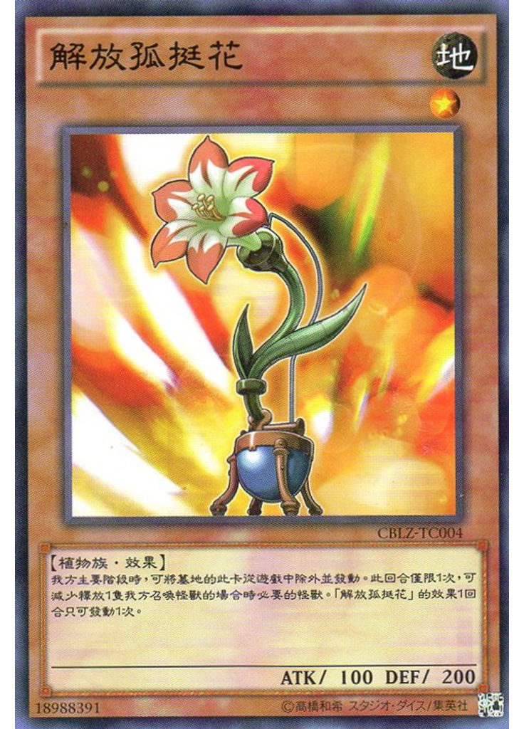 解放孤挺花