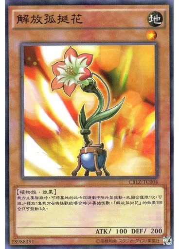 解放孤挺花