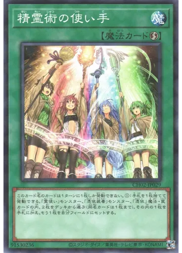 精霊術の使い手