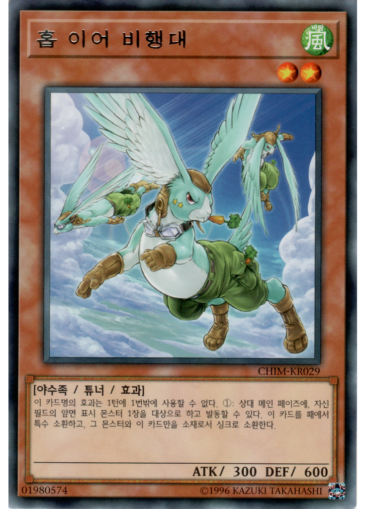 홉 이어 비행대