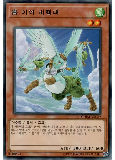 홉 이어 비행대