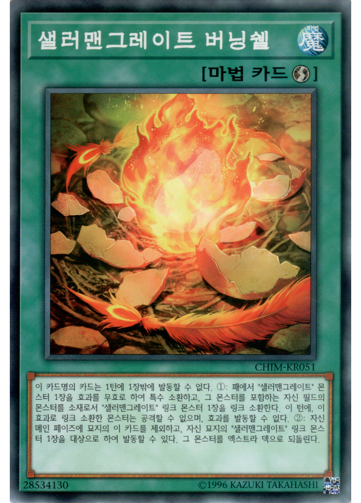 샐러맨그레이트 버닝쉘