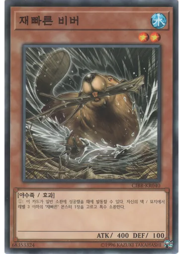 재빠른 비버