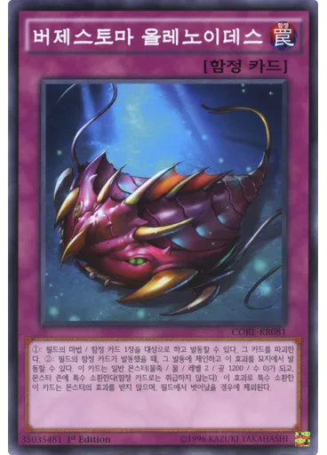 버제스토마 올레노이데스