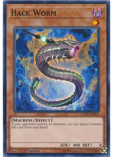 Hack Worm
