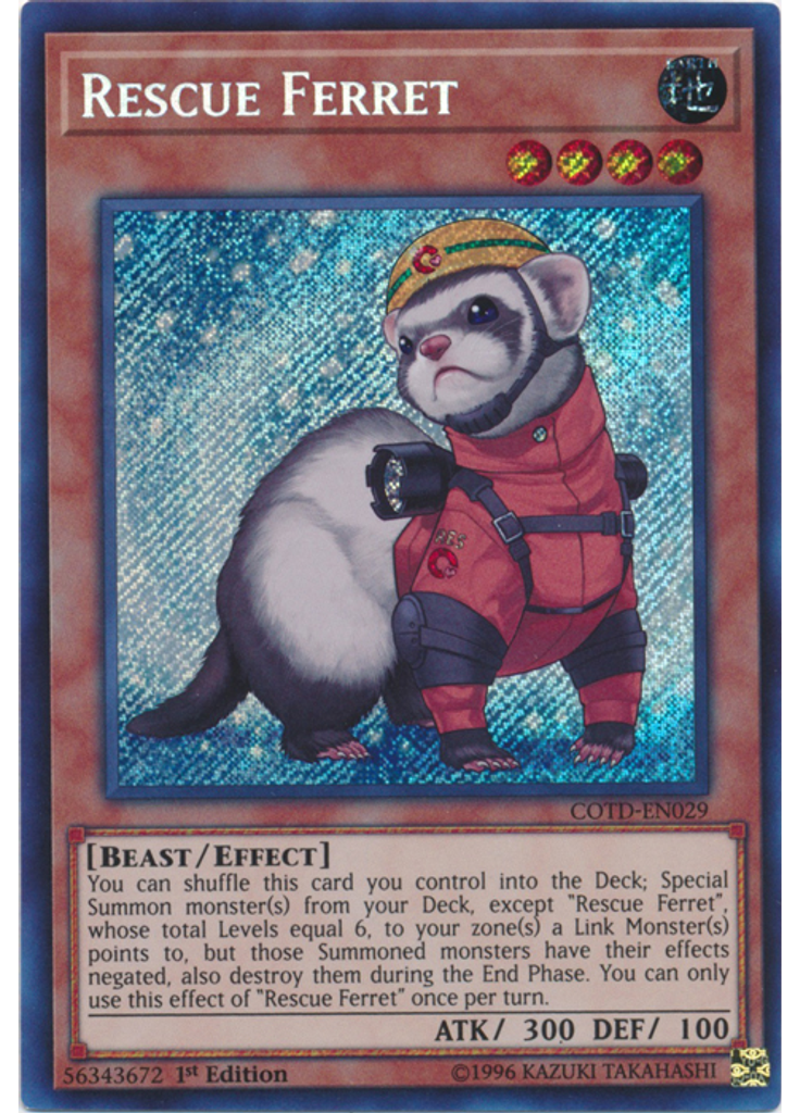 Rescue Ferret