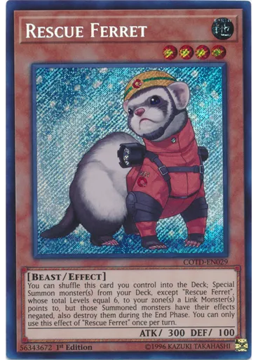Rescue Ferret