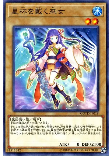 星杯を戴く巫女