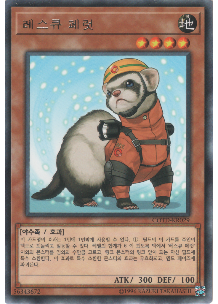 레스큐 페럿