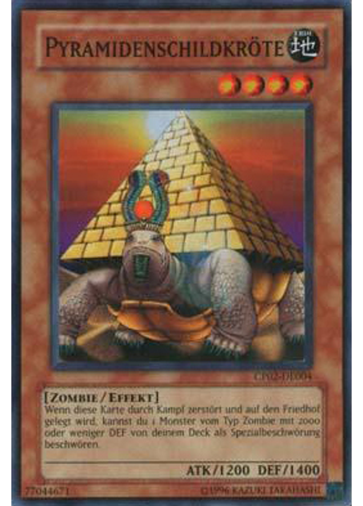 Pyramidenschildkröte