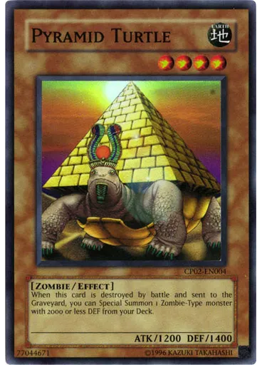 Pyramid Turtle