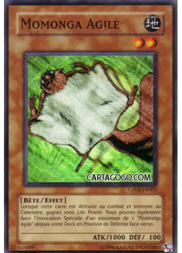 Momonga Agile