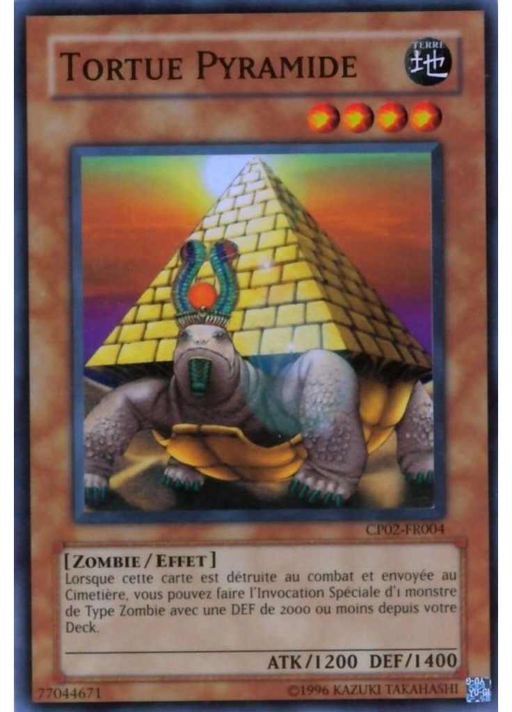 Tortue Pyramide