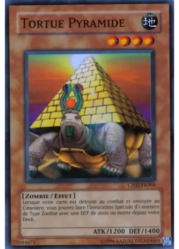 Tortue Pyramide