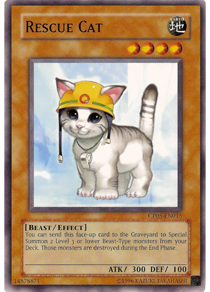 Rescue Cat