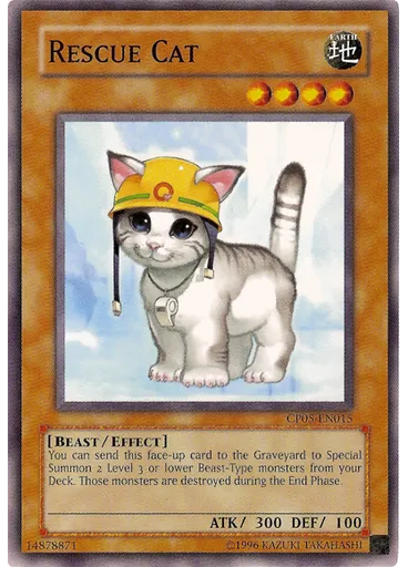 Rescue Cat