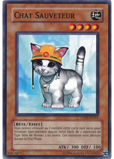 Chat Sauveteur