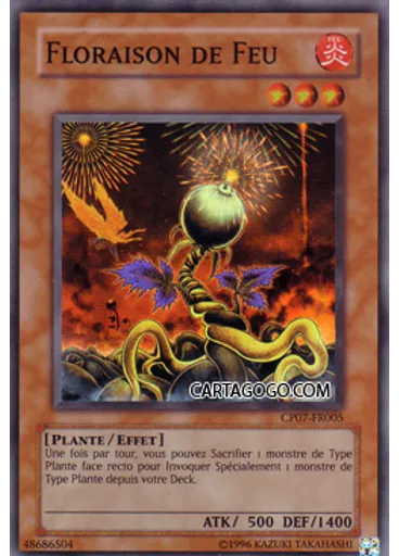 Floraison de Feu