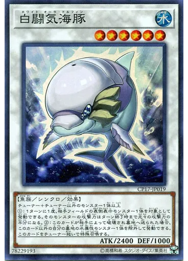 白闘気海豚