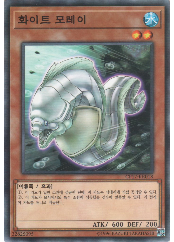 화이트 모레이