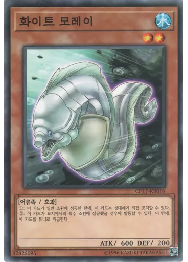 화이트 모레이