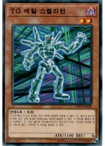 TG 메탈 스켈리턴