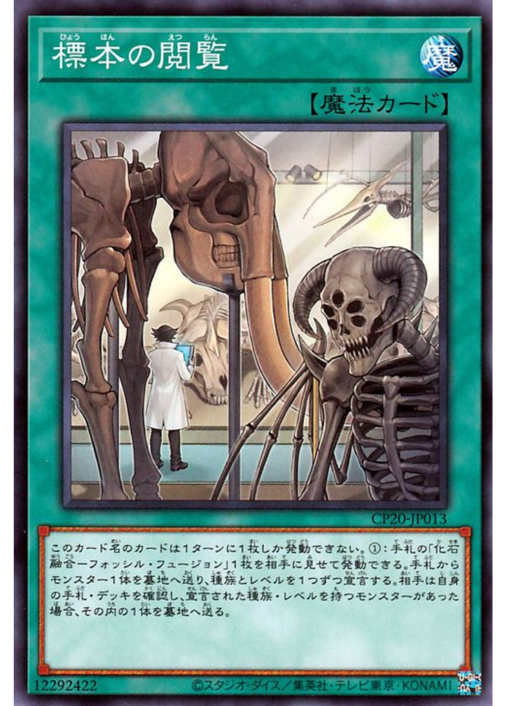 標本の閲覧
