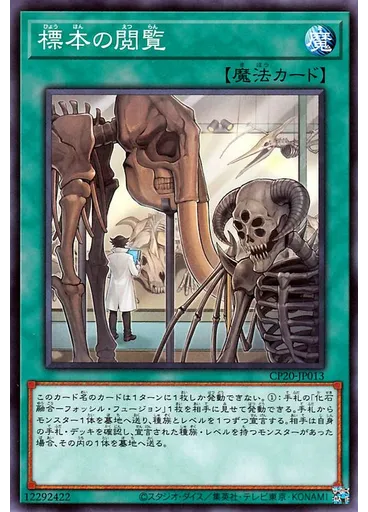 標本の閲覧
