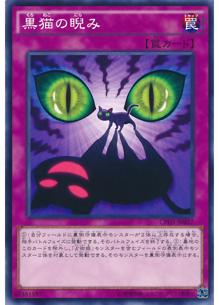黒猫の睨み