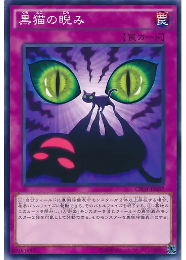 黒猫の睨み