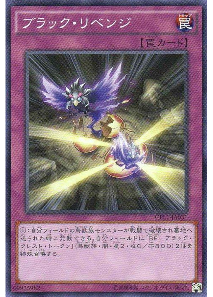 ブラック・リベンジ
