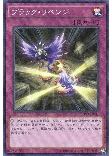 ブラック・リベンジ