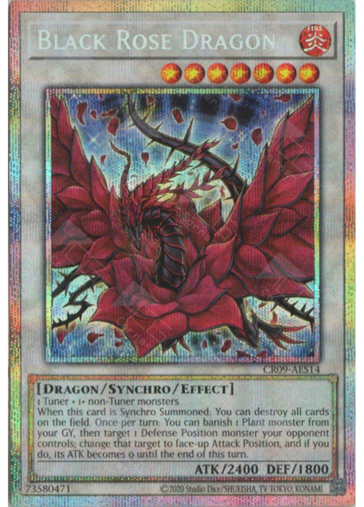 Black Rose Dragon