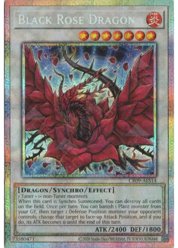 Black Rose Dragon