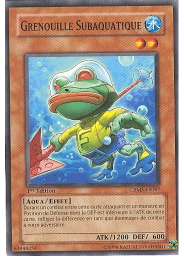 Grenouille Subaquatique