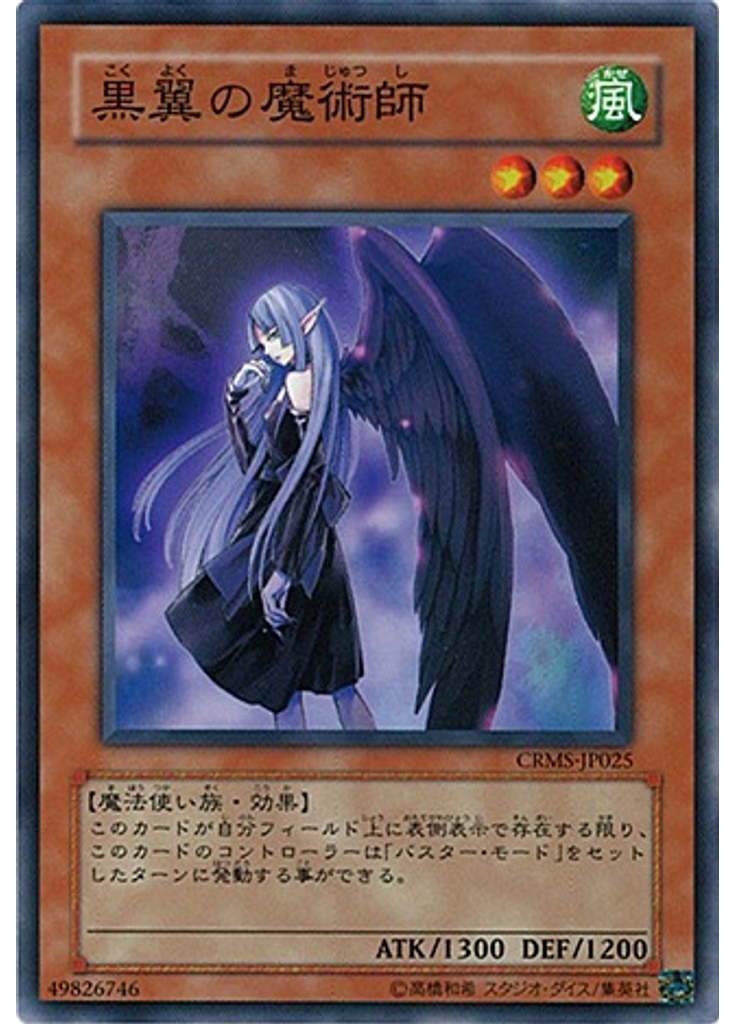 黒翼の魔術師