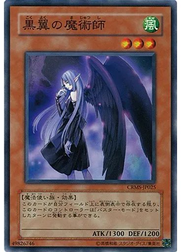 黒翼の魔術師
