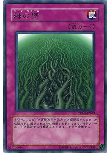 棘の壁