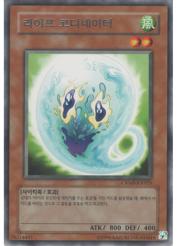 라이프 코디네이터 (Rare Unlimited)
